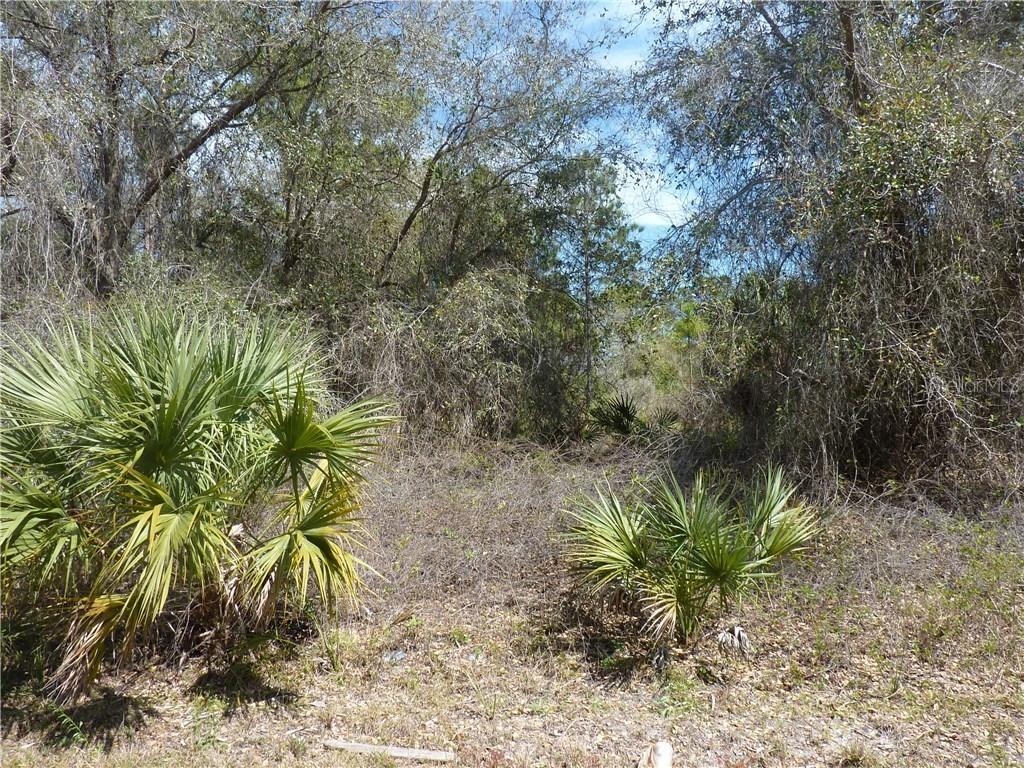 168 Shoreland St., Port Charlotte, FL 33954