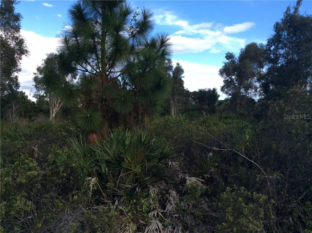 5184 Jennings Blvd., Port Charlotte, FL 33981