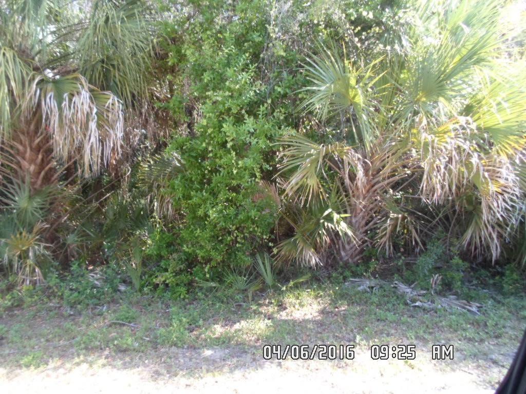 Orcale, North Port, FL 34287