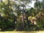 Petunia Ter., North Port, FL 34286