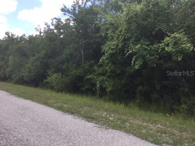 SW Gator Tr., Arcadia, FL 34266