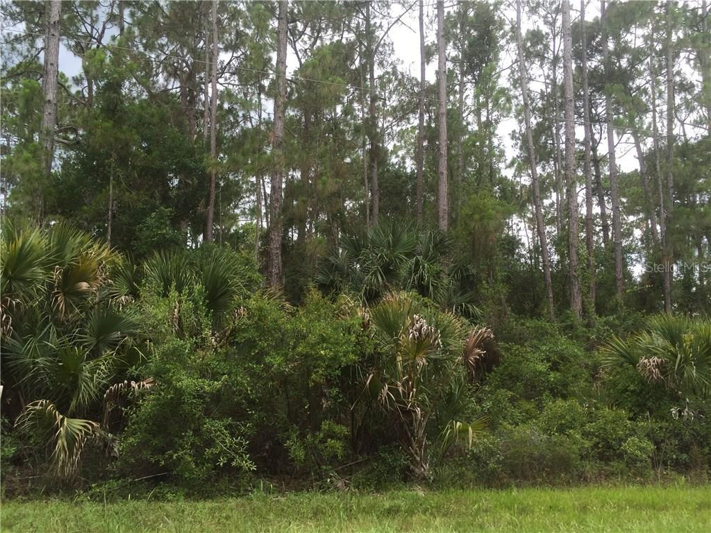 Tejon Ave., North Port, FL 34286