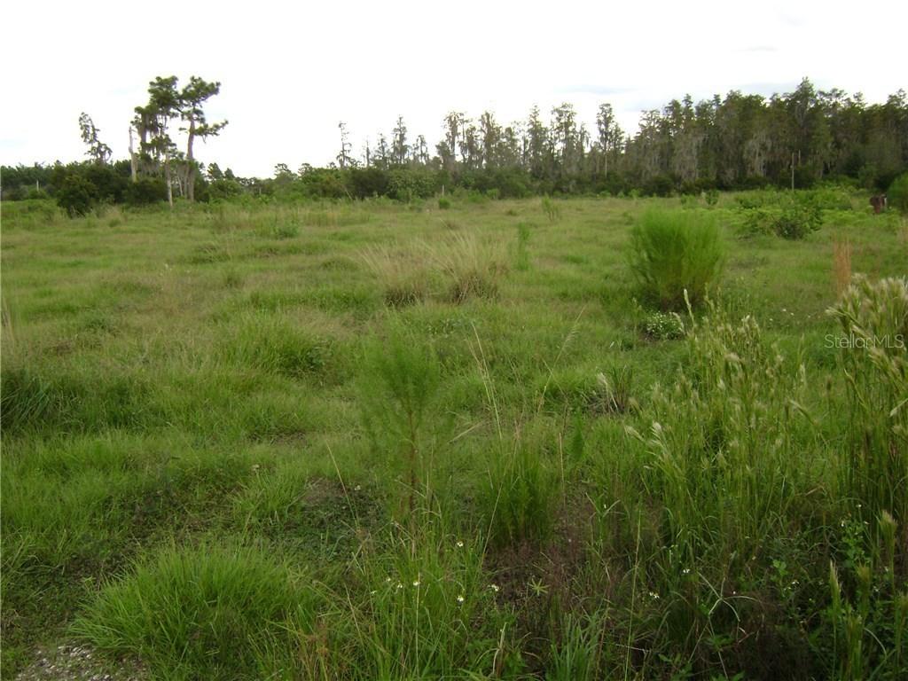 Country Ranch Rd., Arcadia, FL 34266