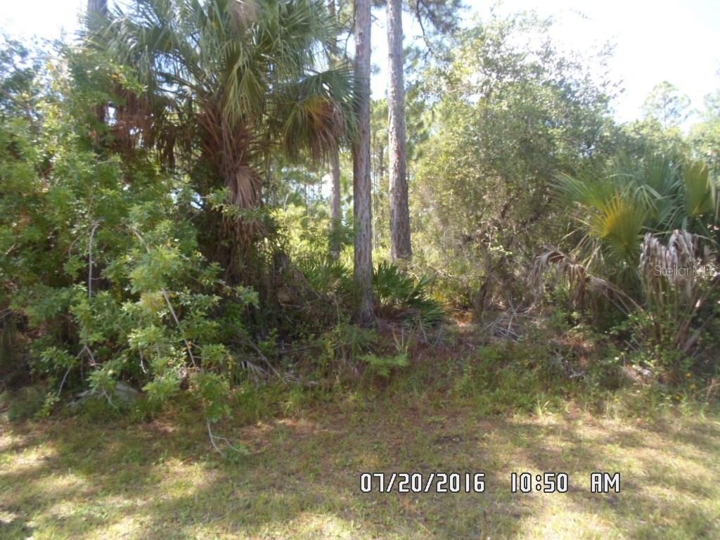 Pascal Ave., North Port, FL 34286