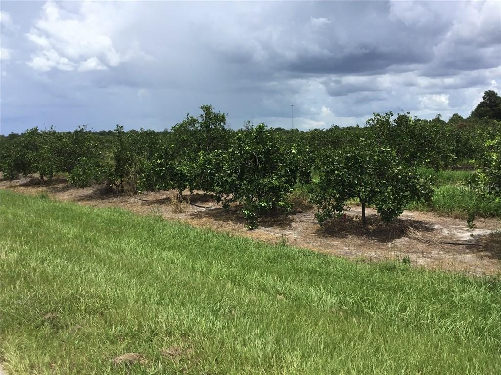 NW Hwy 72, Arcadia, FL 34266