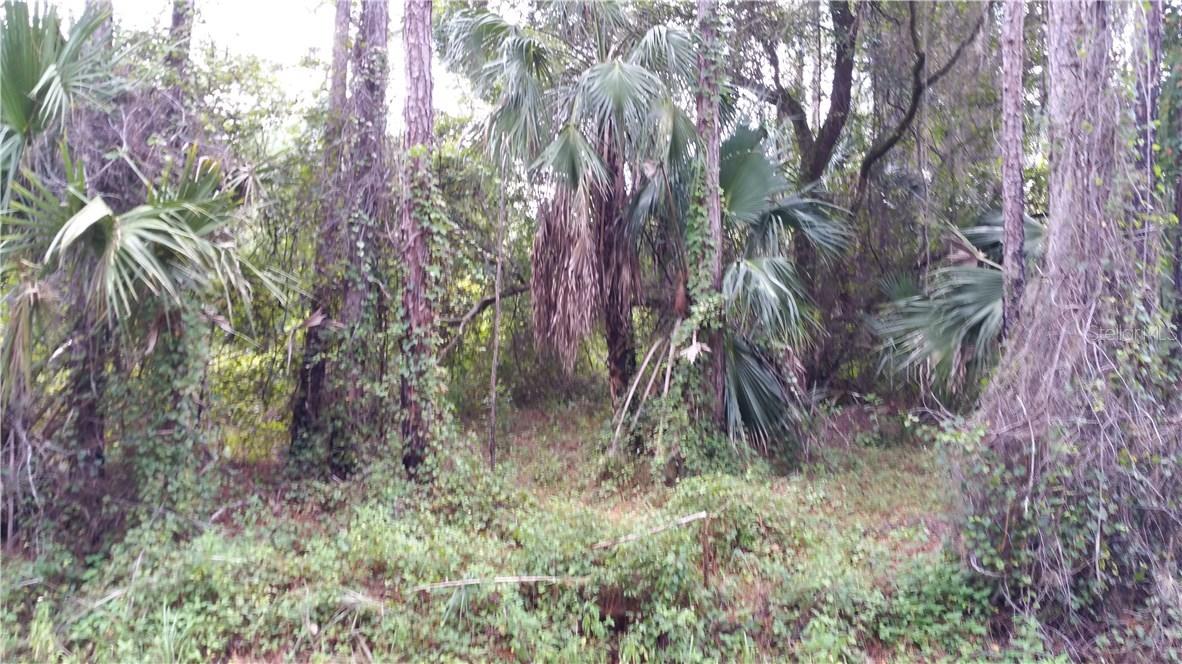 TBD Platt St., North Port, FL 34286