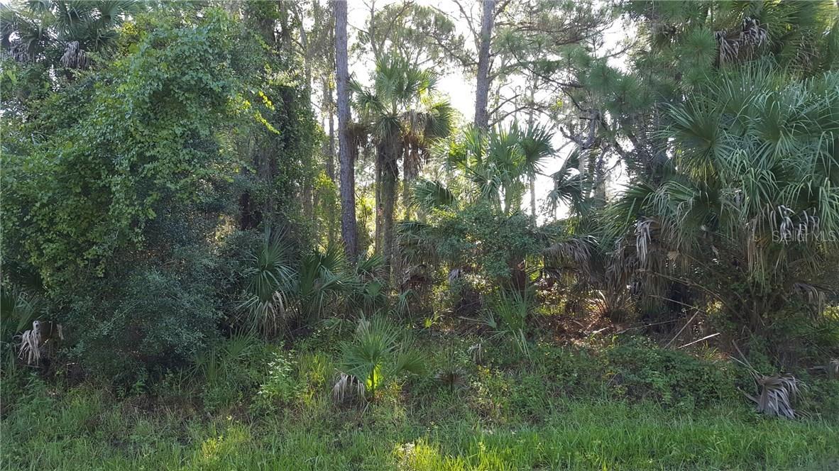 466 Shearer St., Port Charlotte, FL 33953