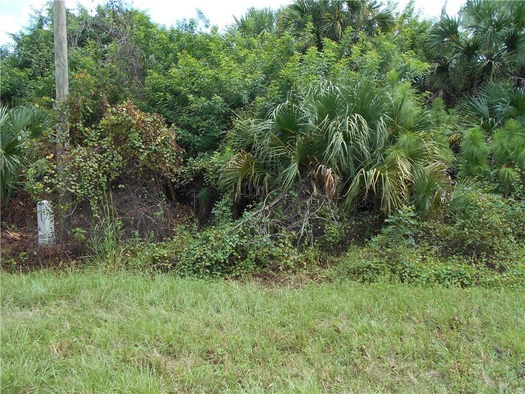 Amnesty Dr., North Port, FL 34288