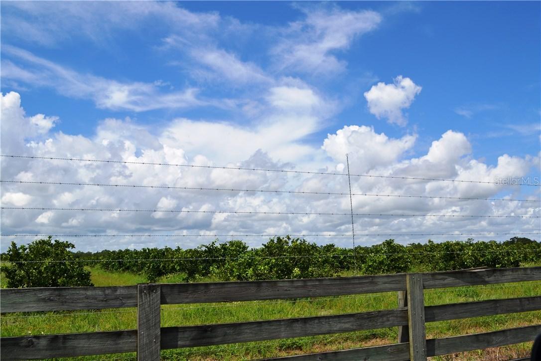 NW Lily Co Line Rd., Arcadia, FL 34266