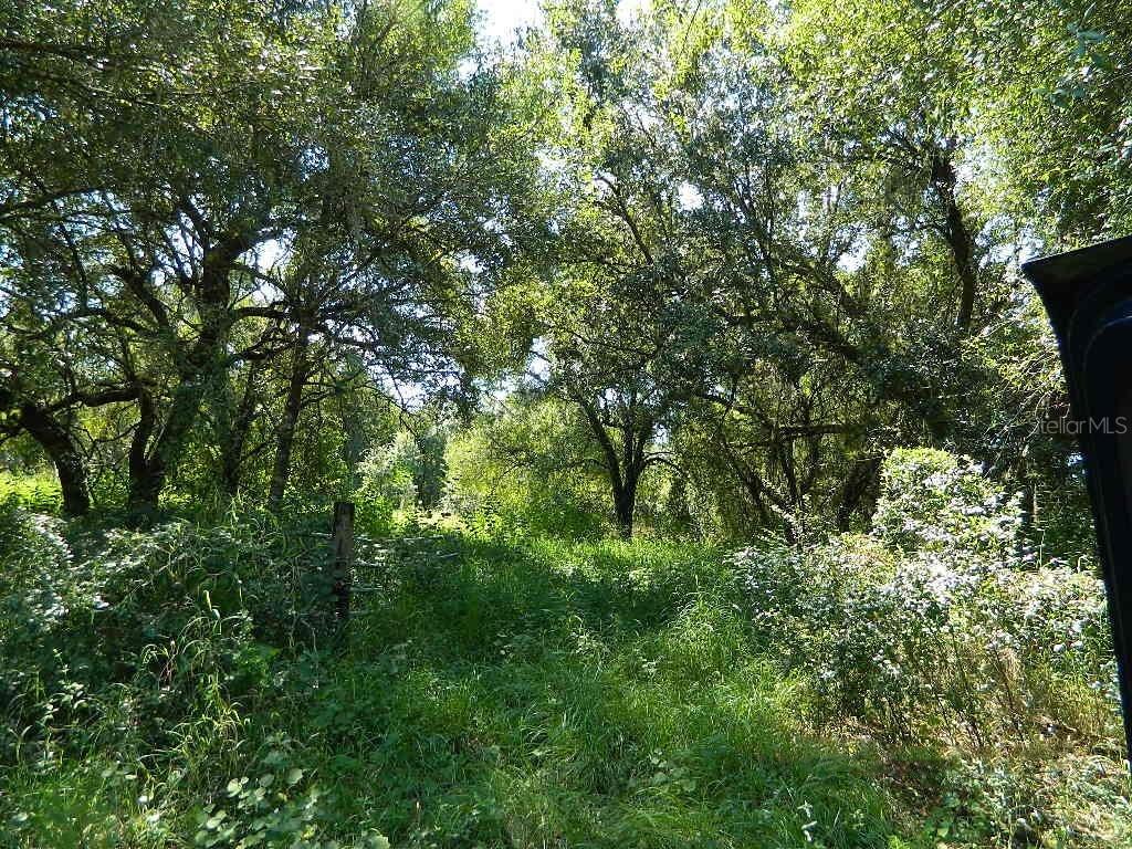 1231 NE River Wood Rd., Arcadia, FL 34266