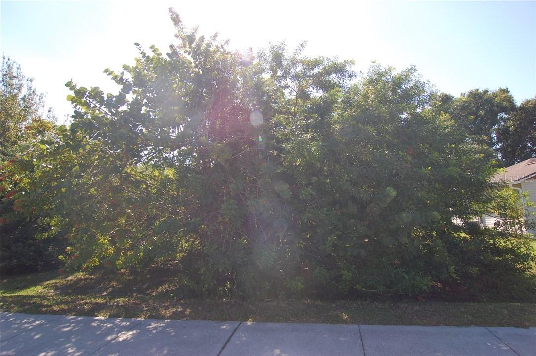 405 Carmalita St., Punta Gorda, FL 33950