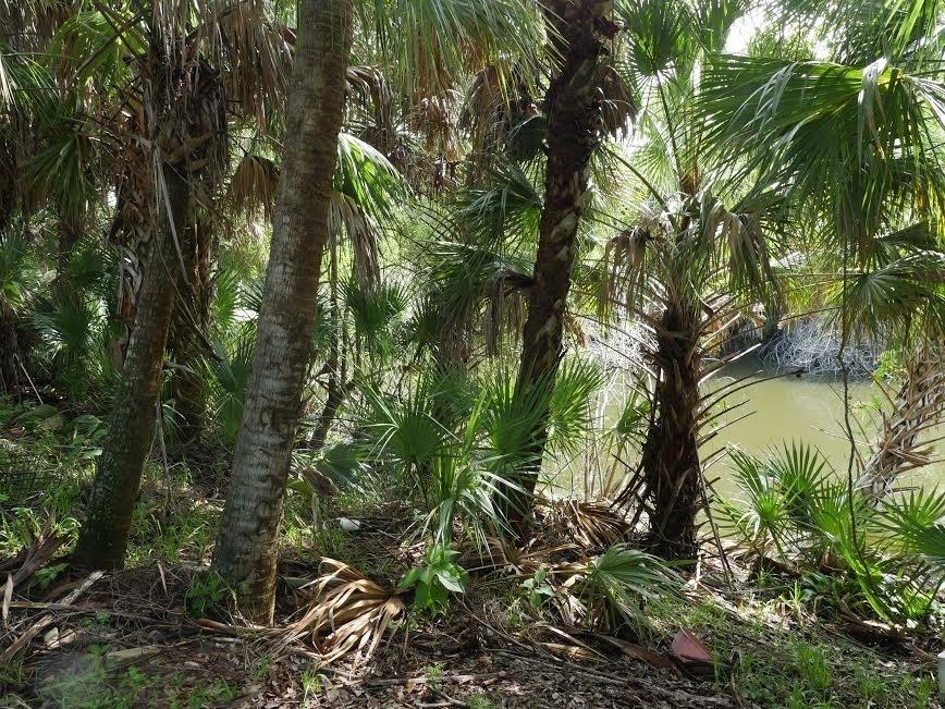 118 Salisbury St., Port Charlotte, FL 33954