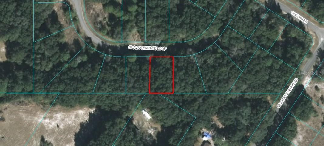 Guava Terrace Loop, Ocala, FL 34472