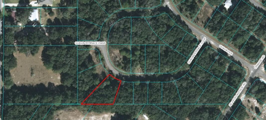 Guava Terrace Loop, Ocala, FL 34472