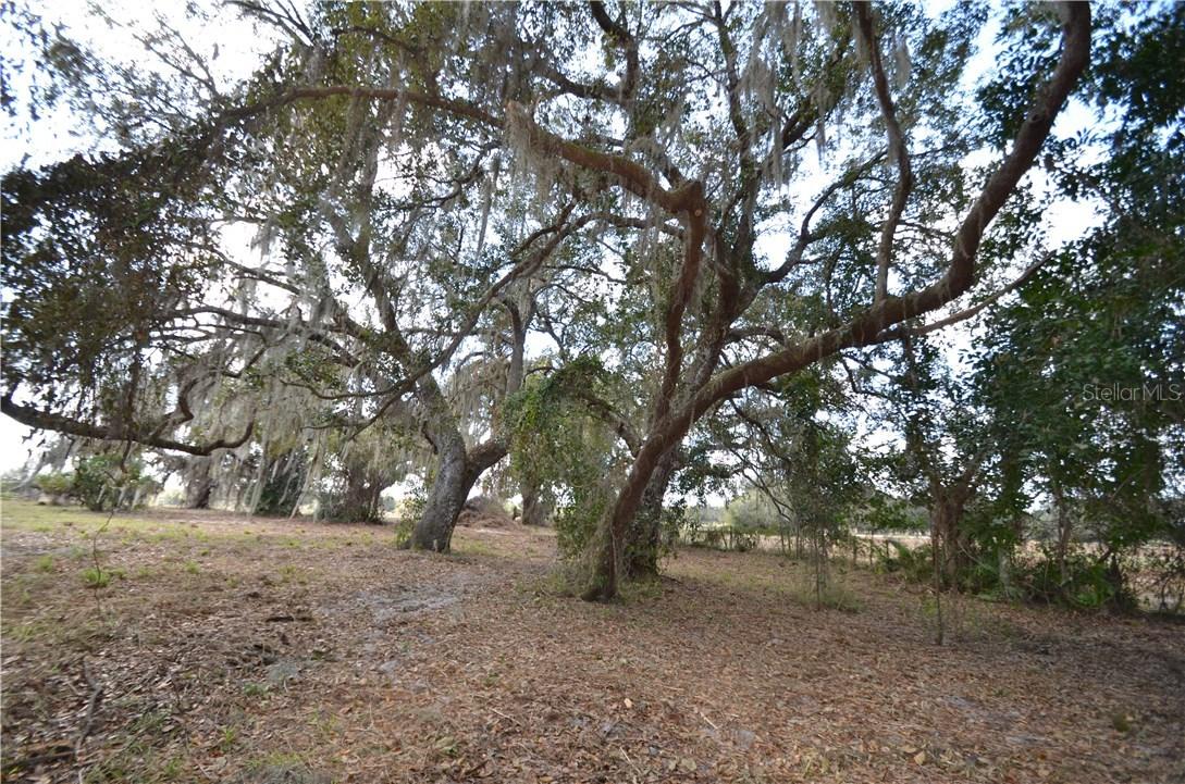 Durrance St., Arcadia, FL 34266