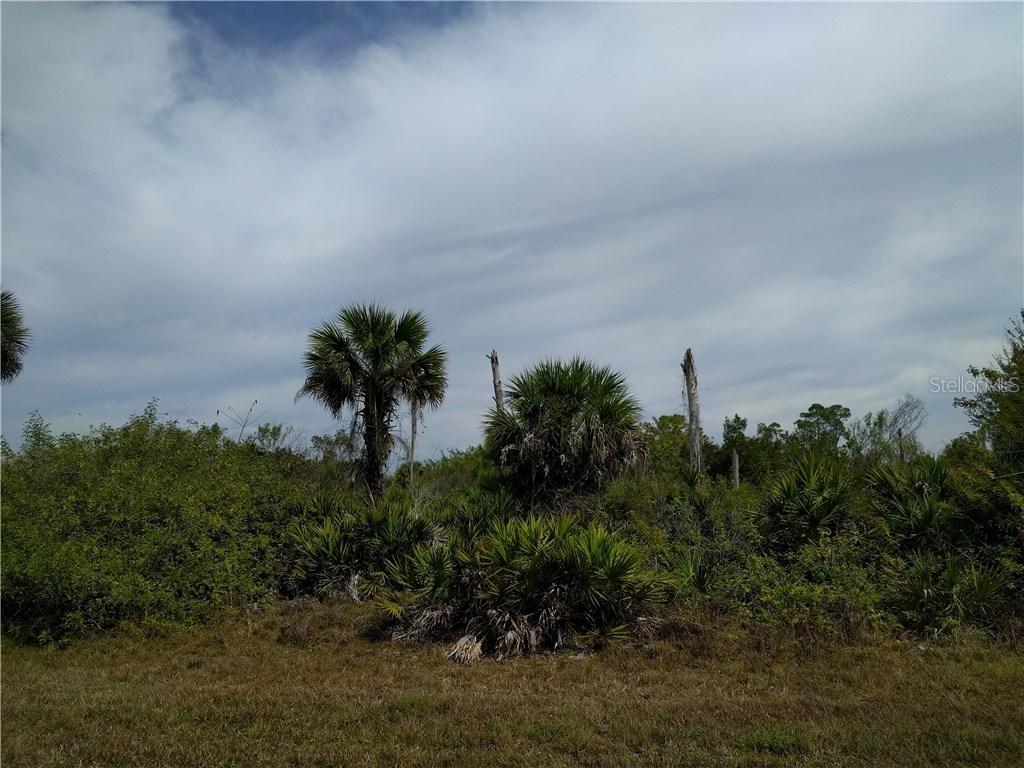 12256 Chamberlain Blvd., Port Charlotte, FL 33953
