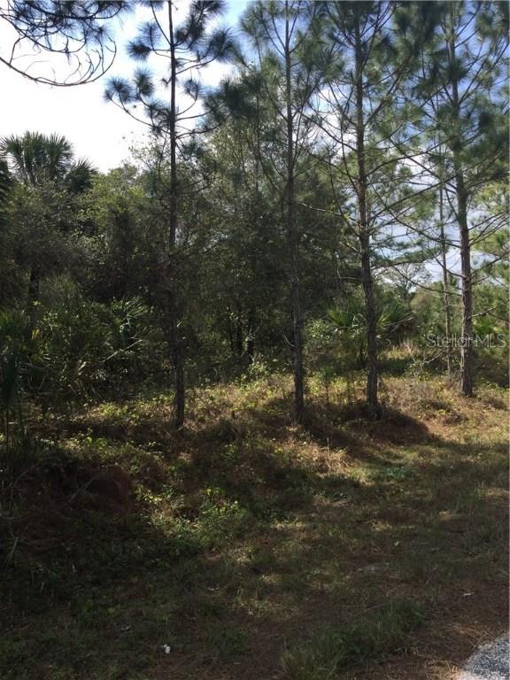 Lots 6, 7, 8 Hungary/hillman Rd., North Port, FL 34288