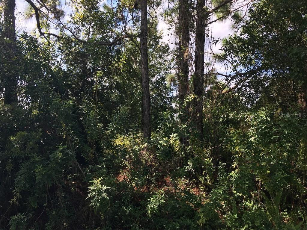 26305 Scham Rd., Punta Gorda, FL 33955