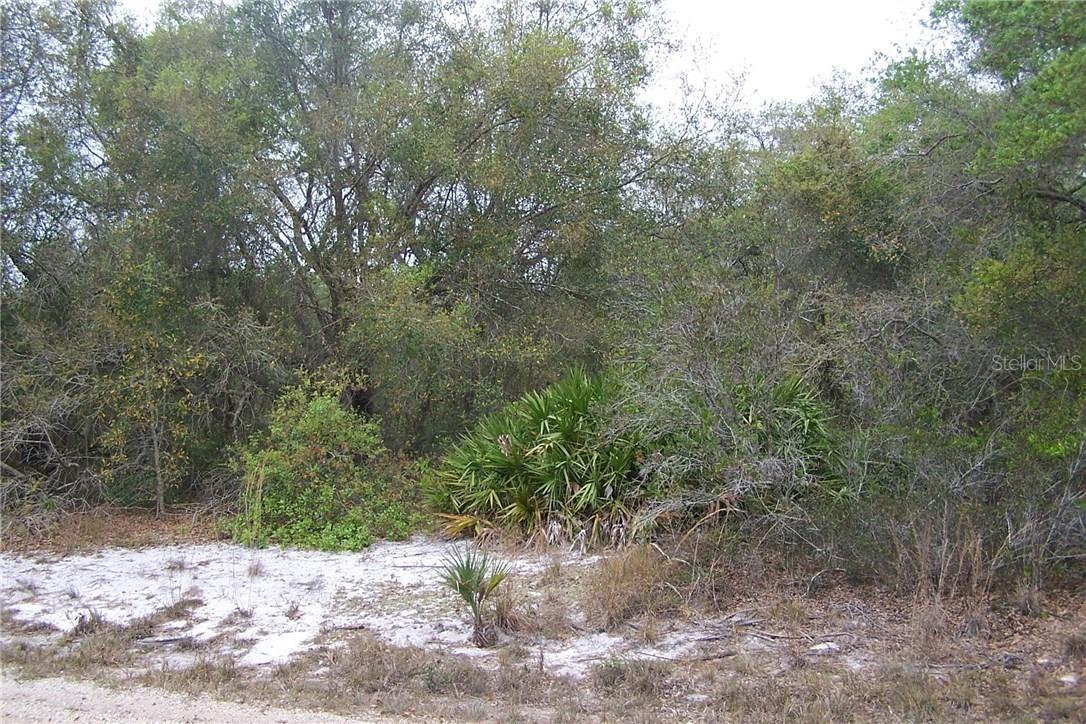 55 Dahoon Blvd Blvd., Punta Gorda, FL 33982