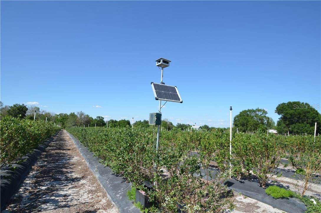 3376 Pearce St., Arcadia, FL 34266