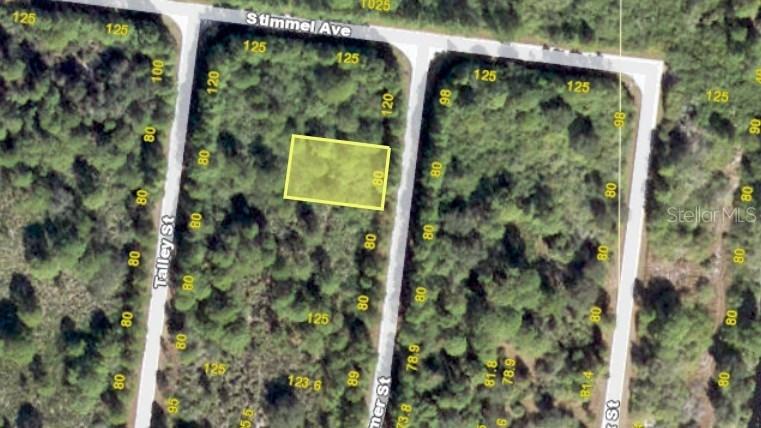 7355 Widmer St., Port Charlotte, FL 33981