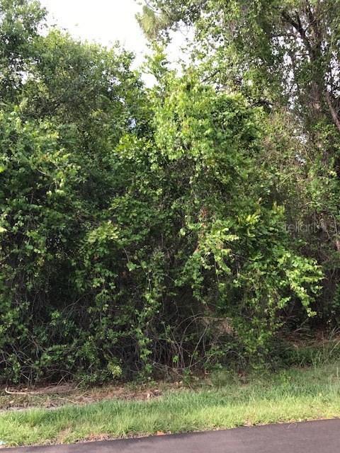 Lot 25 Weidman Ave., North Port, FL 34286