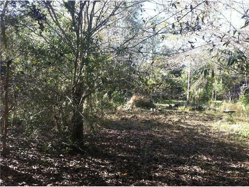 33930 + 33960 Oil Well Rd., Punta Gorda, FL 33955