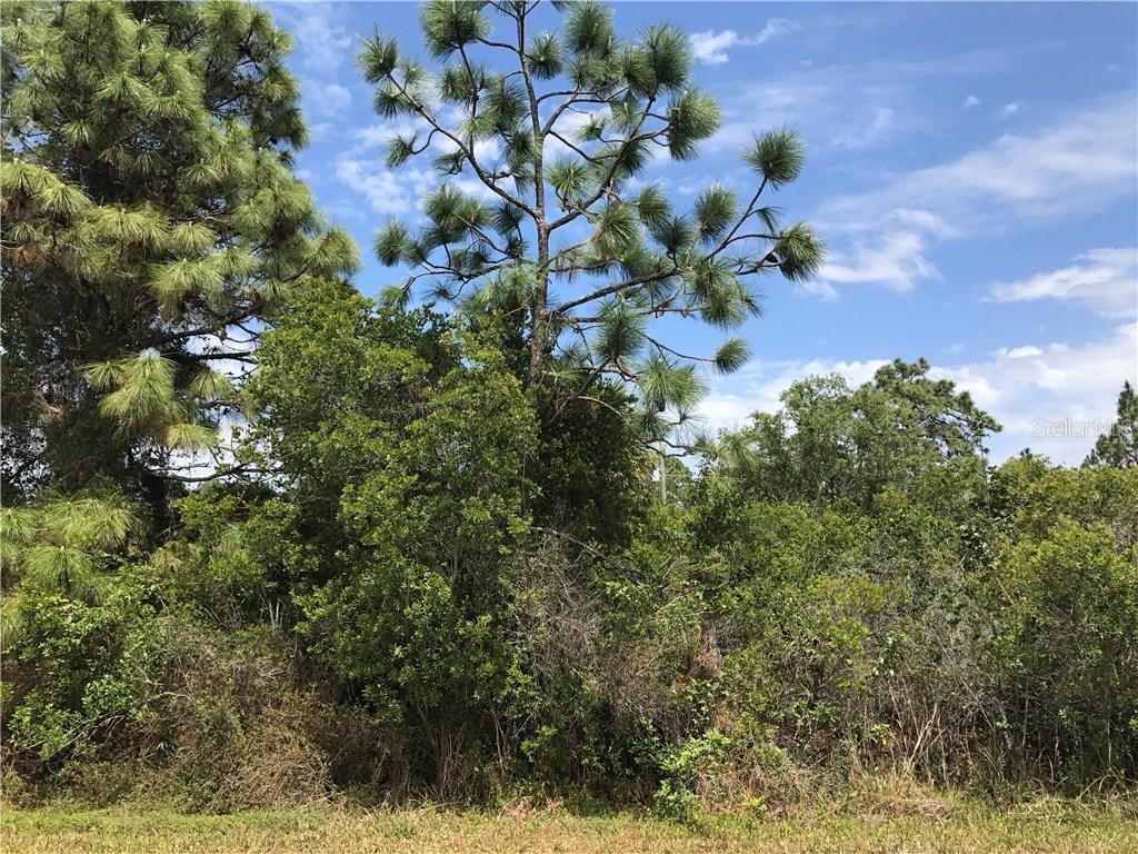 4328, 4336, 4344 Callaway St., Port Charlotte, FL 33981