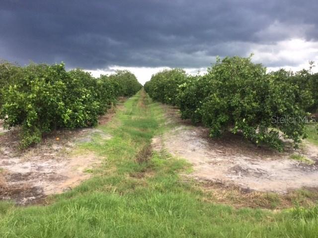 NE Hwy 70, Arcadia, FL 34266