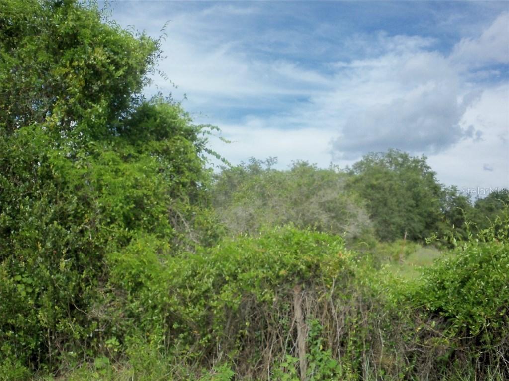 11366 SW Thornton Ave., Arcadia, FL 34269