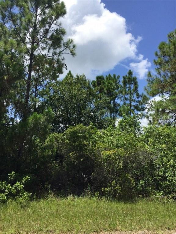 8191 Dittmar St., Port Charlotte, FL 33981