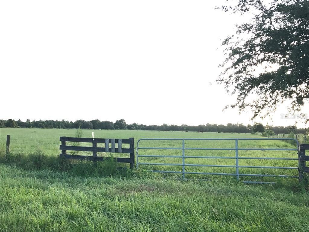 SW Johnson Ave., Arcadia, FL 34266