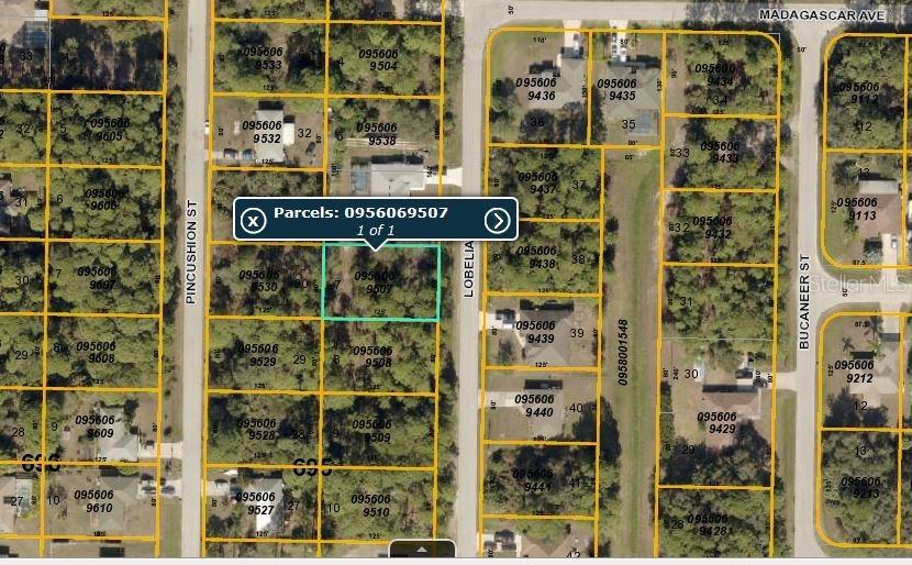 Lobelia St., North Port, FL 34286