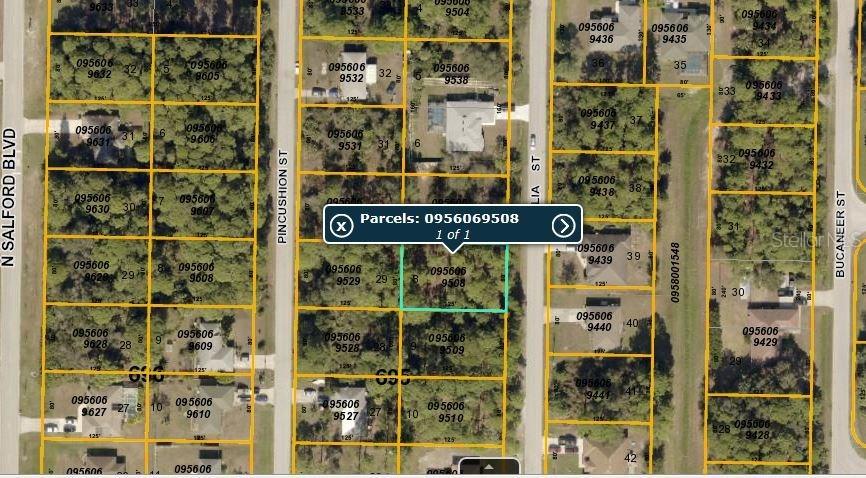 Lobelia St., North Port, FL 34286