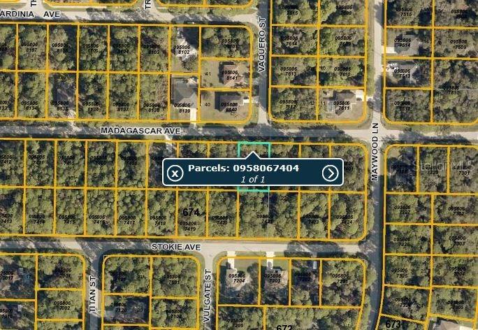Madagascar Ave., North Port, FL 34286