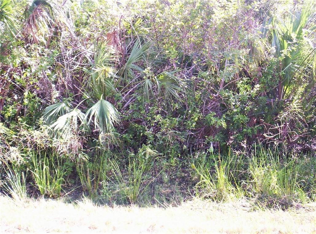 13227 & 13219 Gallagher Blvd., Port Charlotte, FL 33981