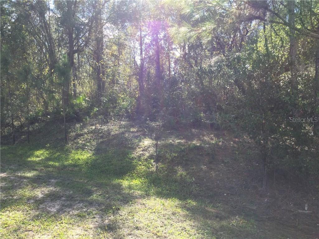 SW Nassau Ave., Arcadia, FL 34266