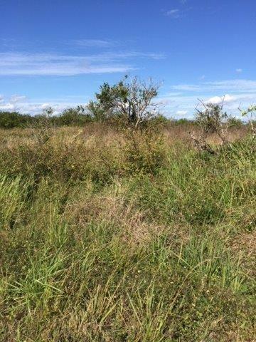 Hwy 70, Arcadia, FL 34266
