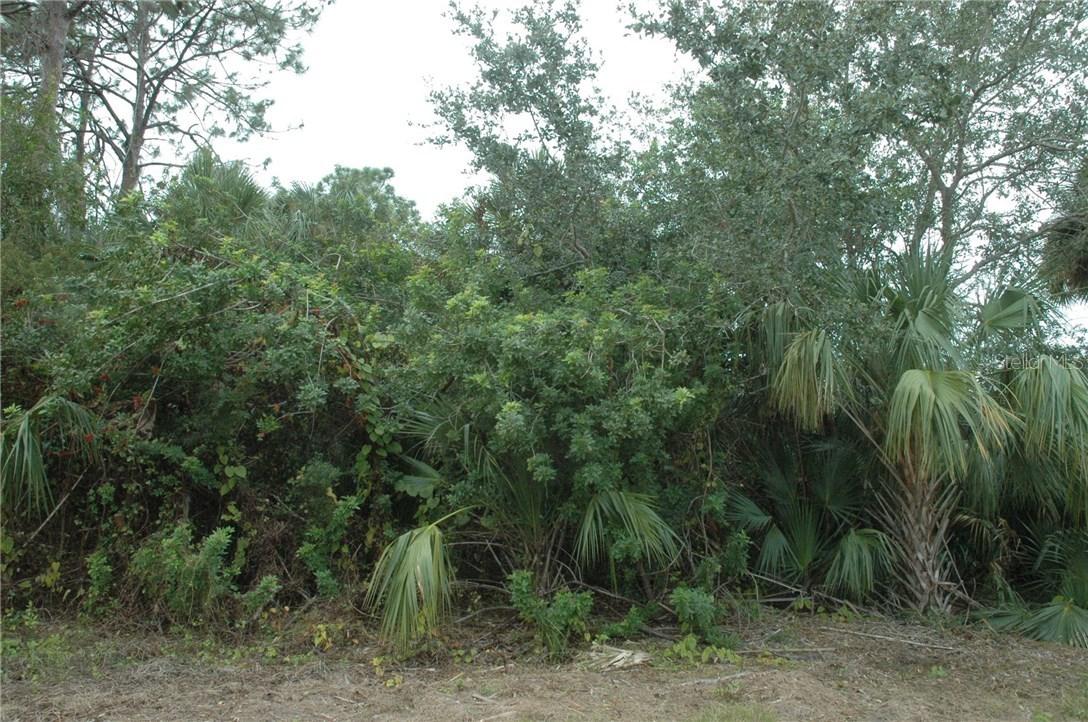 1353 Glanmore Drive, Port Charlotte, FL 33953