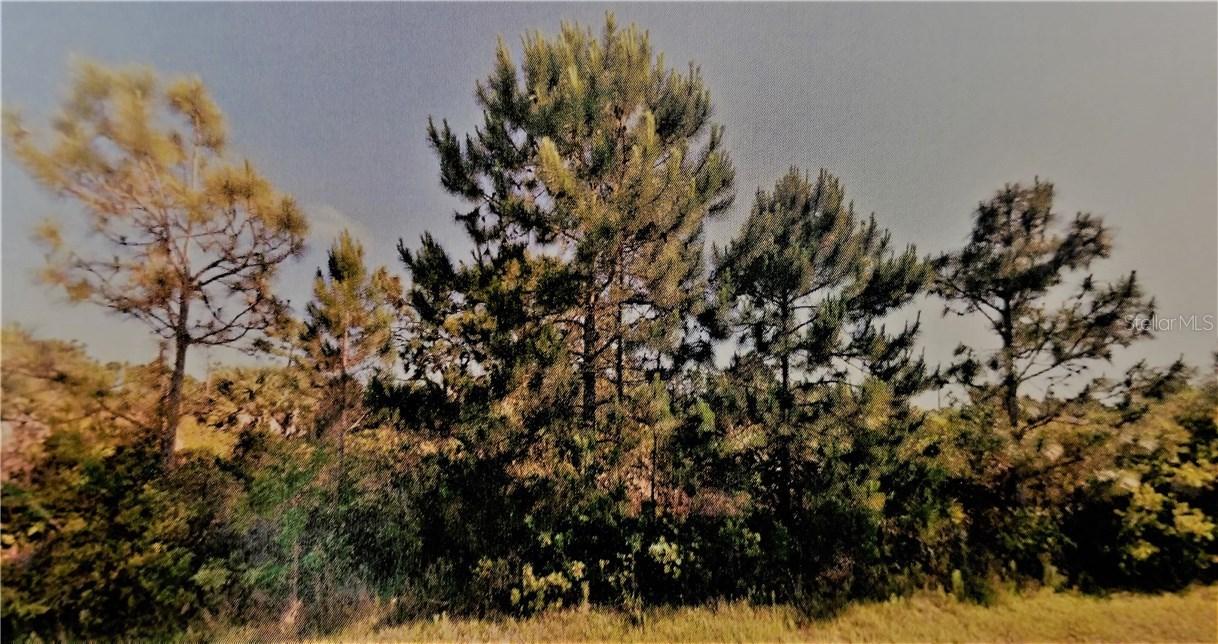 12058 Diversey Ave., Port Charlotte, FL 33981