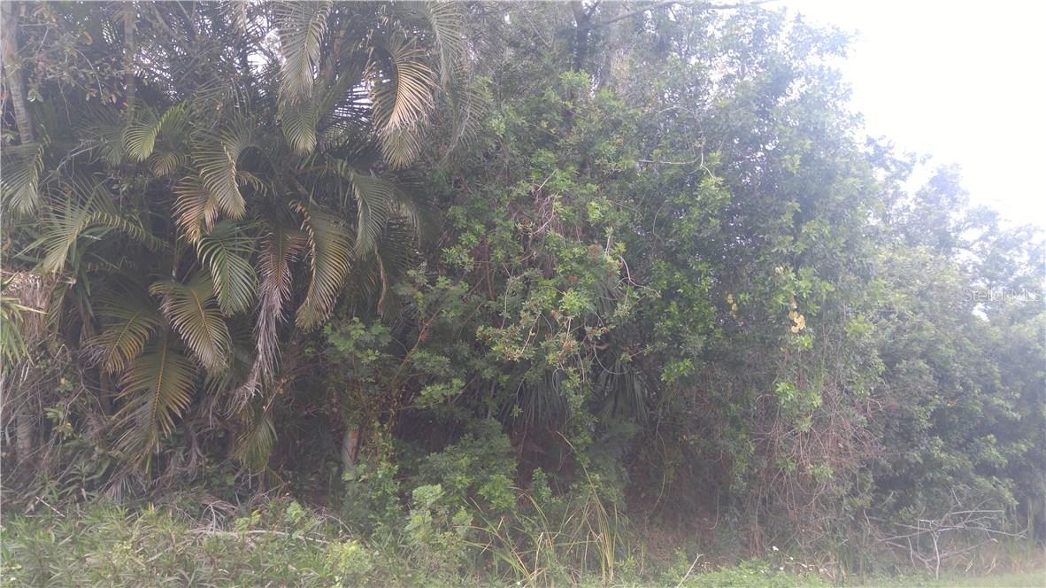 3401 Amanda St., Punta Gorda, FL 33950