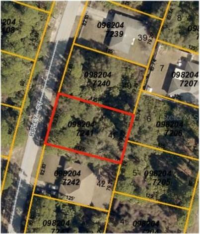 Ripley St., North Port, FL 34286