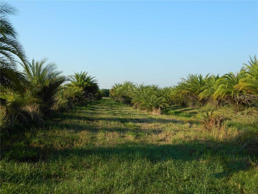 9931 SE English Ave., Arcadia, FL 34266