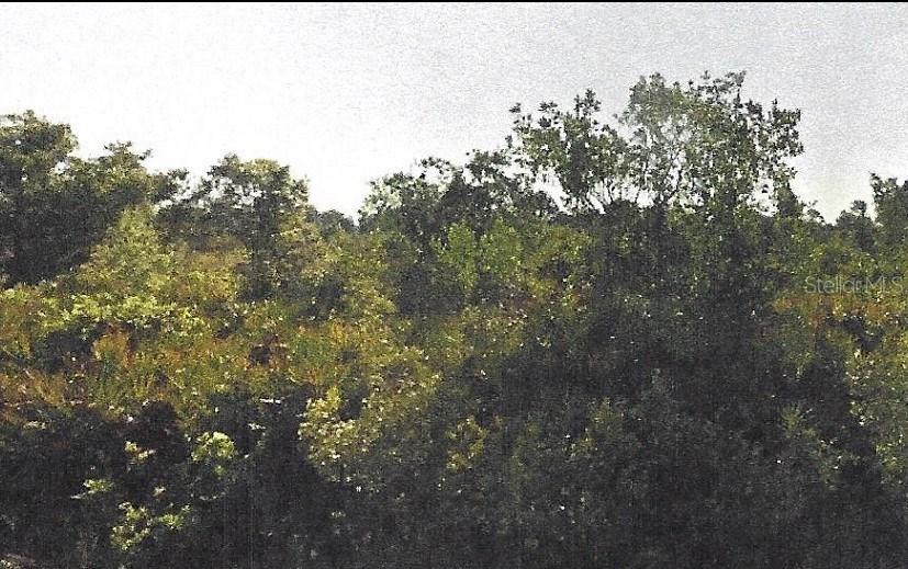 4400 Mclean St., Port Charlotte, FL 33981