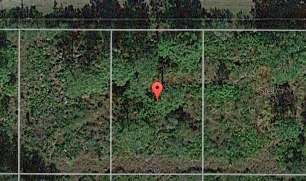 12175 Duval Blvd., Port Charlotte, FL 33981