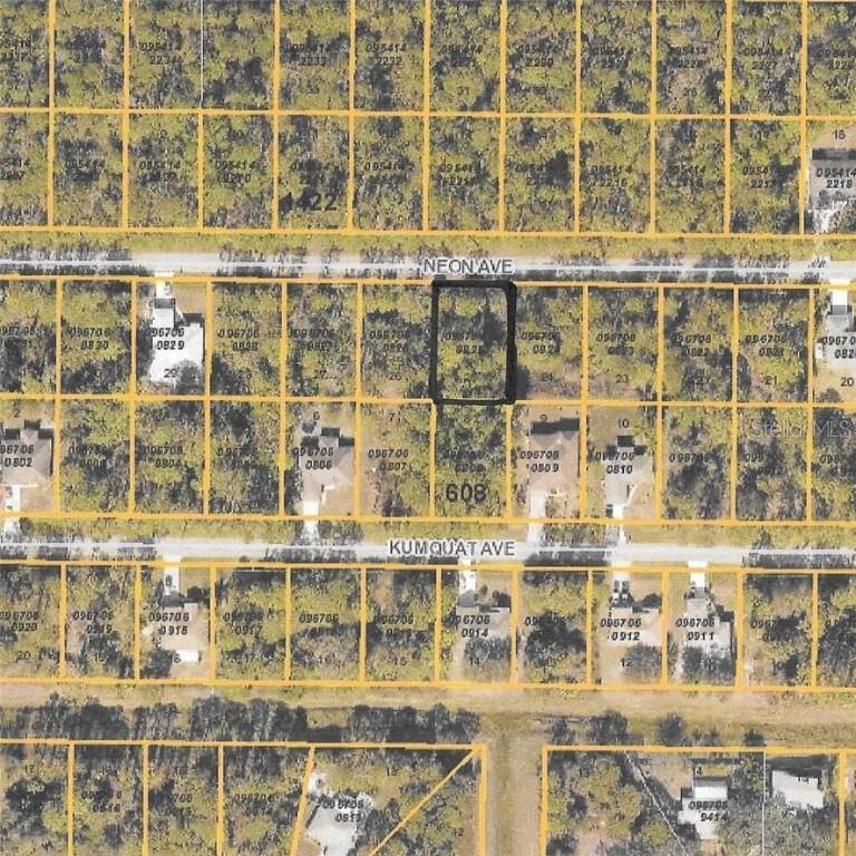 Neon Ave., North Port, FL 34291