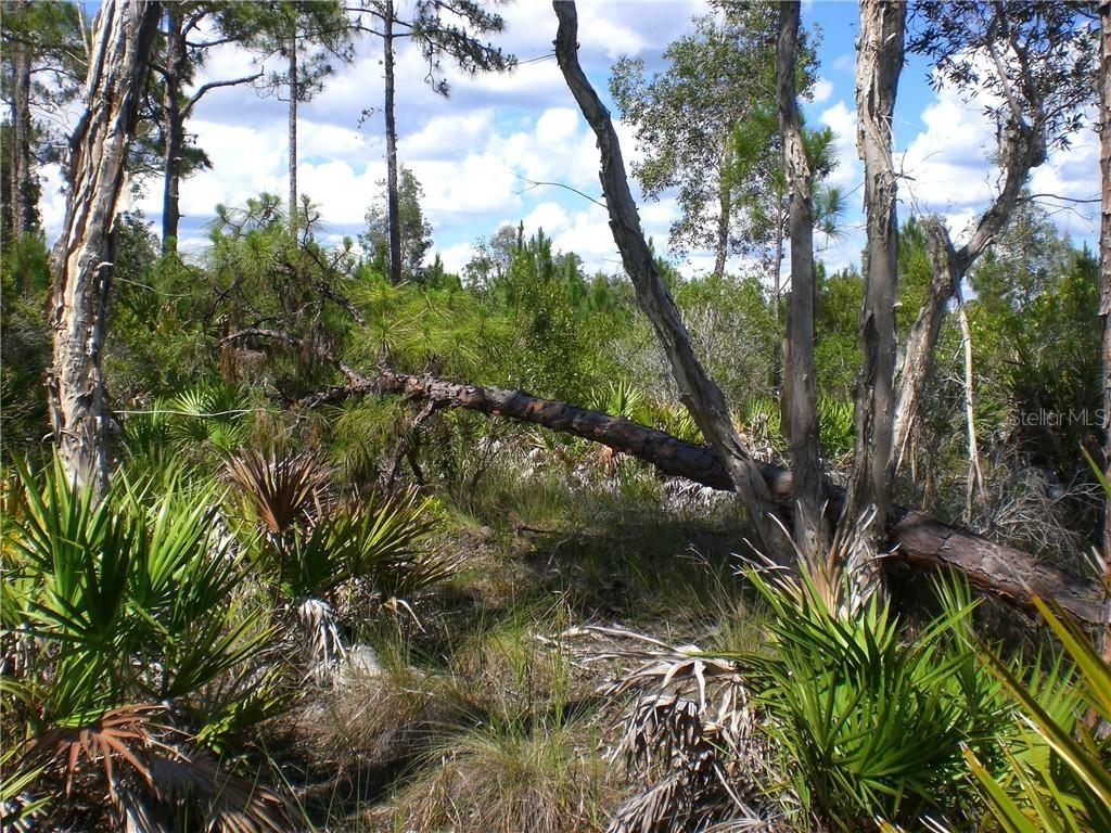 26701 Zemel Rd., Punta Gorda, FL 33955