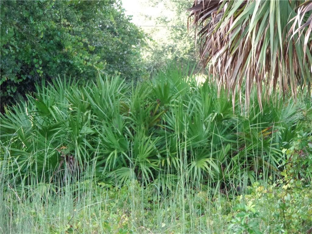 Lancelot Ave., North Port, FL 34287