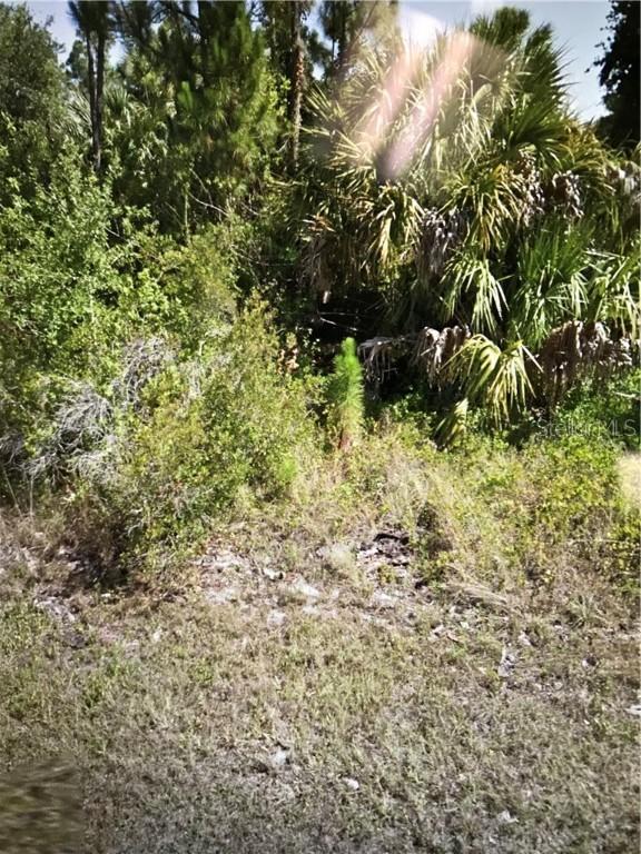 26236 Scham Rd., Punta Gorda, FL 33955