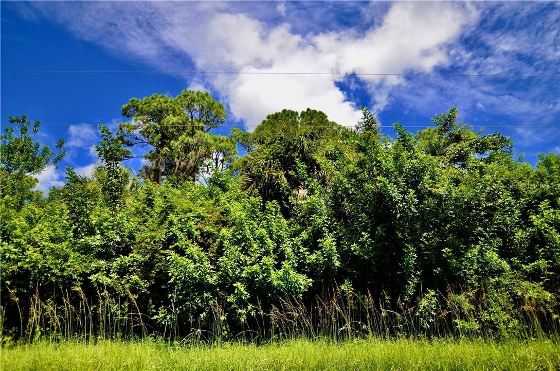 1353 Presidio Ter., Port Charlotte, FL 33953